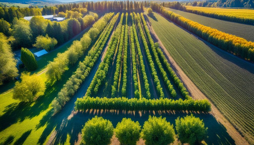 fruit orchard